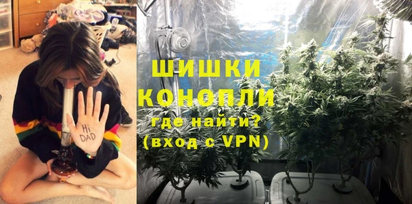 дживик Абаза