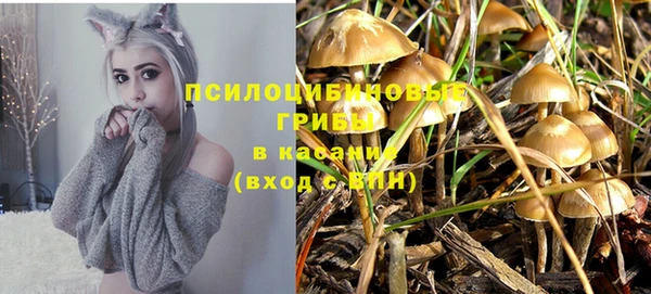 дживик Абаза