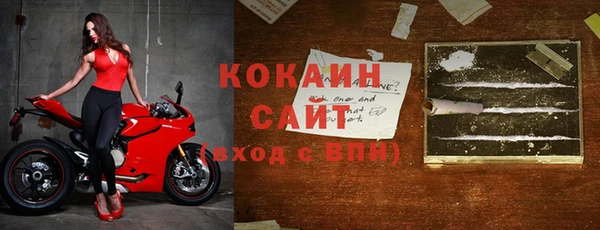 дживик Абаза