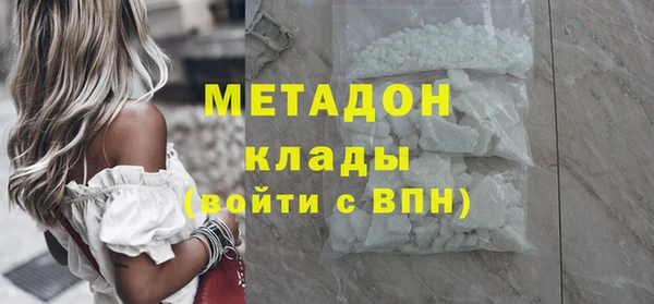 прущие грибы Заводоуковск