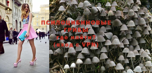 стафф Новокубанск